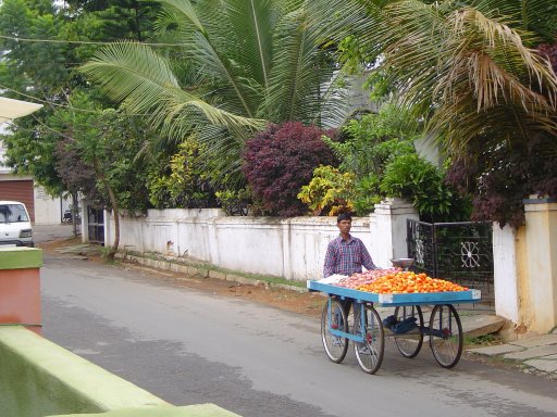 Vegetable Purchase Vegetable Purchase